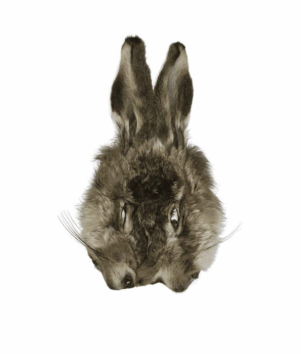 Wapsi Hares Mask With Ears