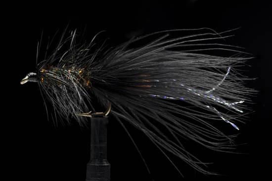 Manic Little Bugger Black and Peacock #8