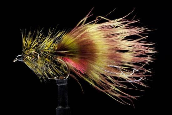 Manic Little Bugger Olive and Peacock #8