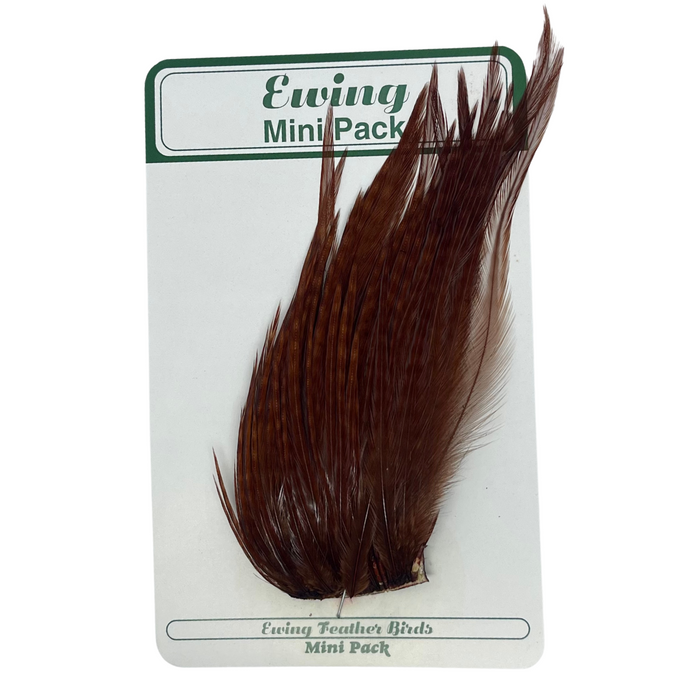 Ewing Mini Dry Fly Pack #10-12