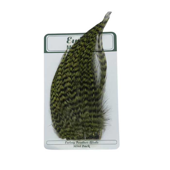 Ewing Mini Dry Fly Pack #10-12