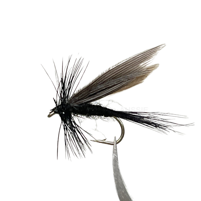 Dun Tassie