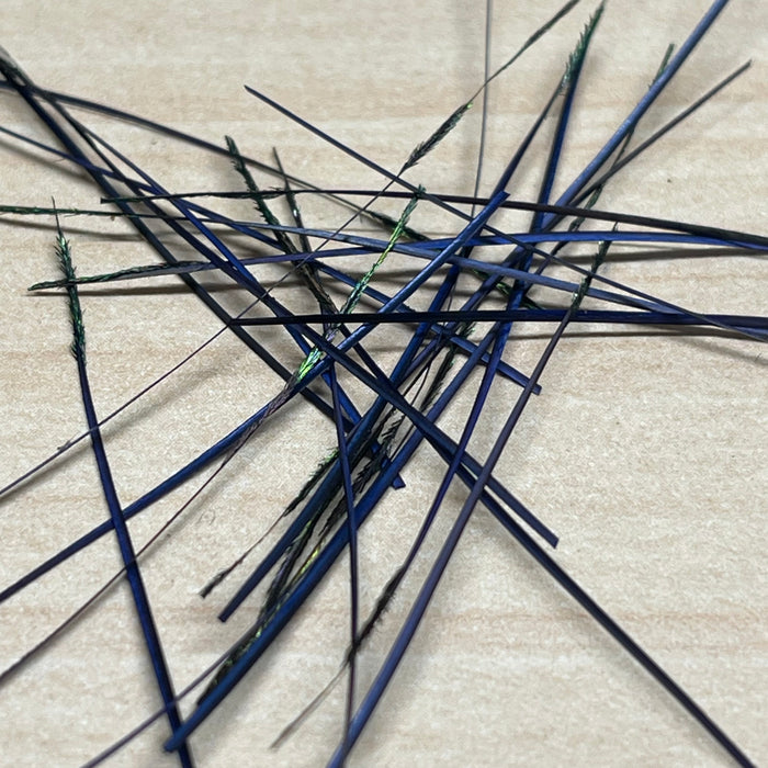 Polish Quills Hand Stripped Quills
