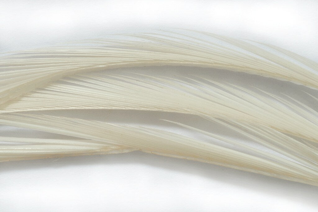 Fulling Mill Premium Selected Goose Biots