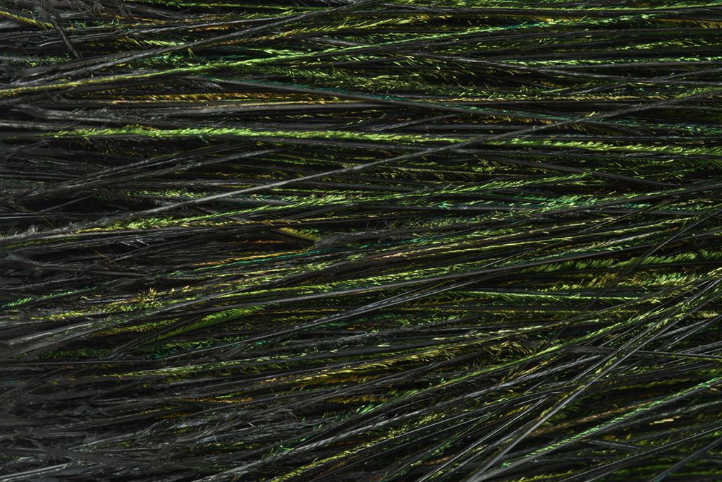 Fulling Mill Premium Selected Peacock Herl