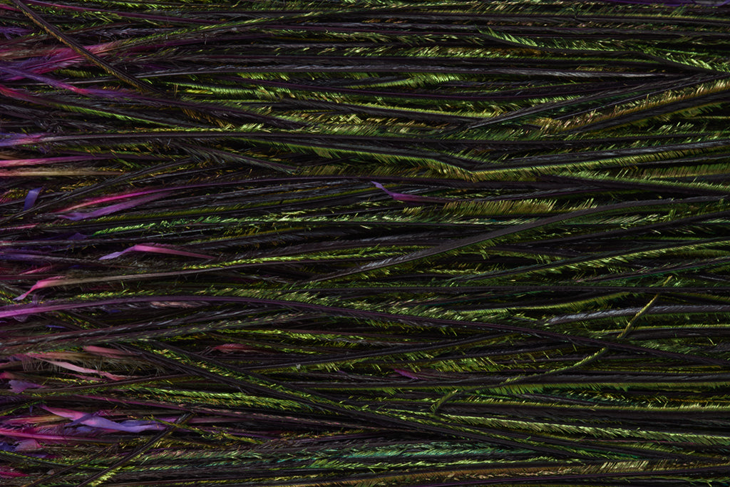 Fulling Mill Premium Selected Peacock Herl