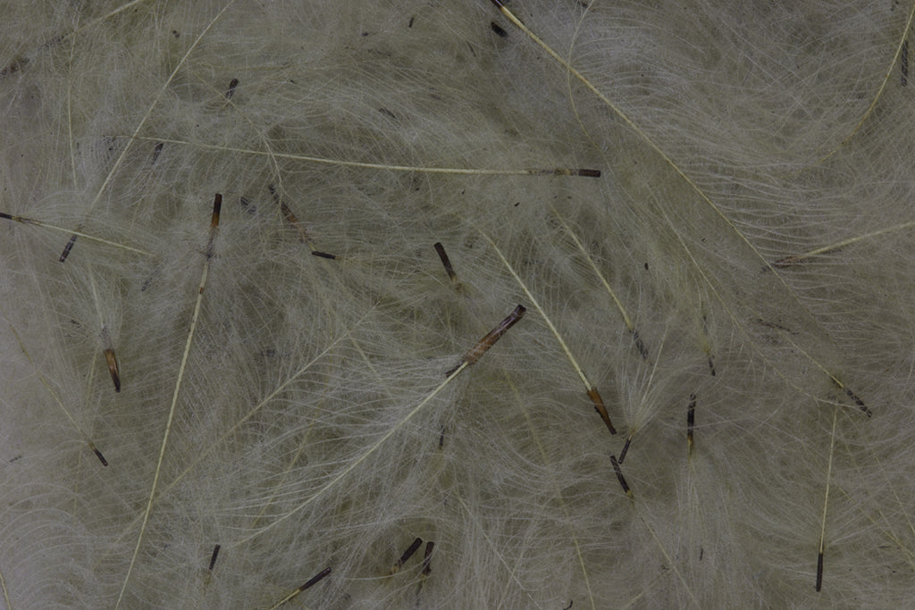 Fulling Mill CDC Feathers Bulk 3 grams