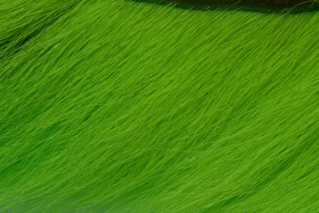 Fulling Mill Premium Selected Bucktail