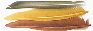 Wapsi Duck Quills