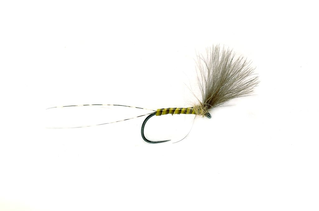 Plume Tip Barbless #17-19