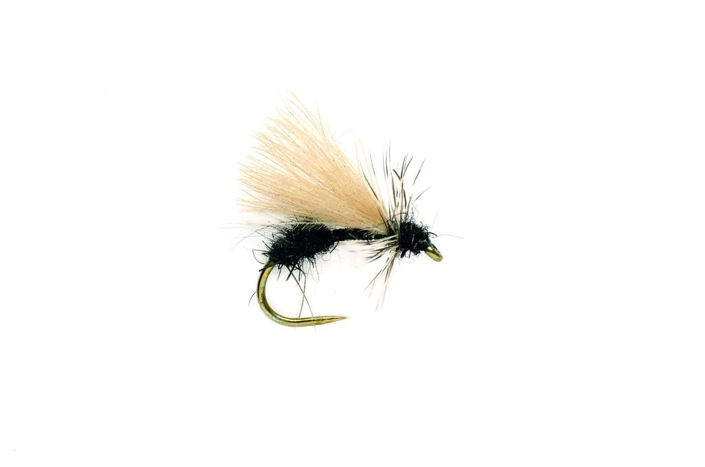 Fulling Mill Drop Arse Ant