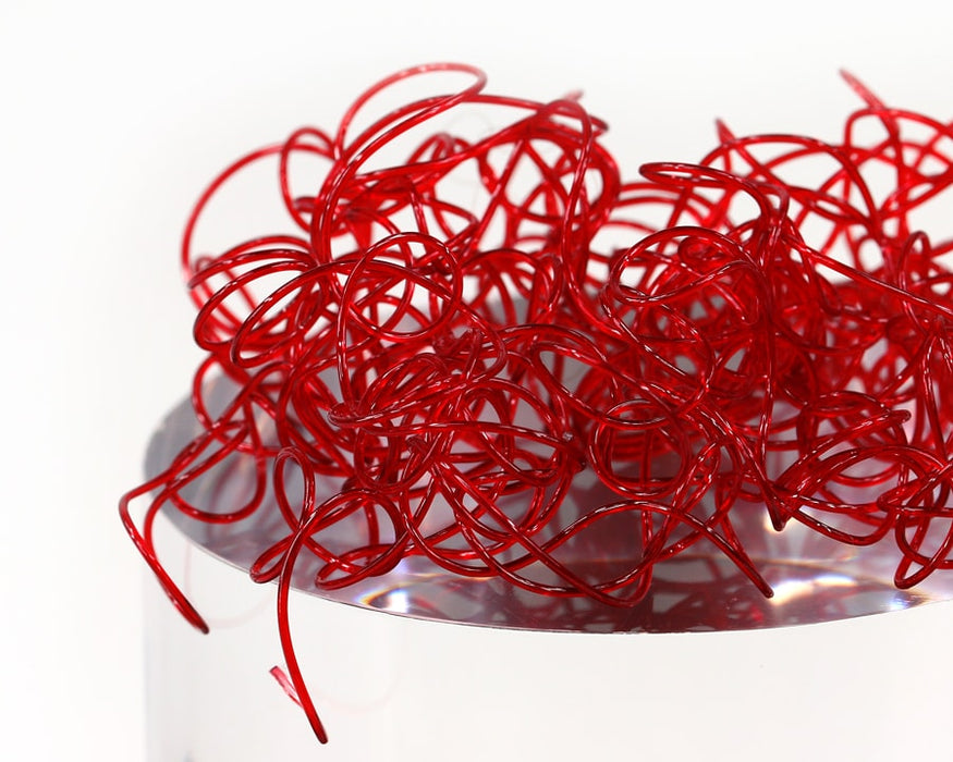 Sybai Wiggly Worms