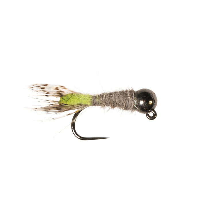 Category 3 Peek A Boo BTB #14