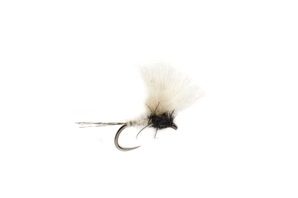 Fulling Mill McPhails CDC Caenis