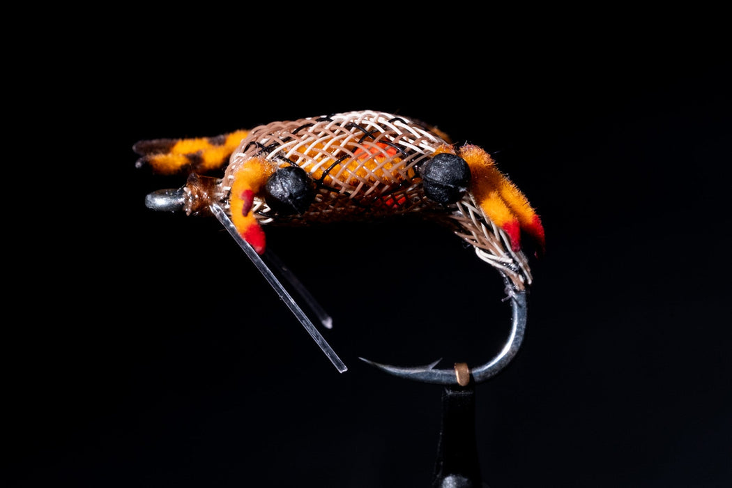 Manic Alphlexo Crab Snake Orange