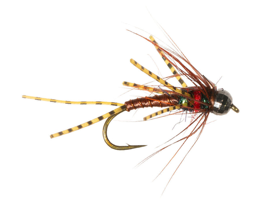 C3 Doshed up Brown #12