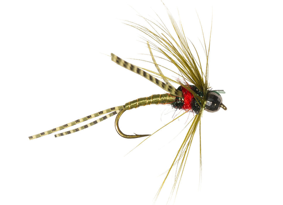 C3 Doshed Up Olive #12