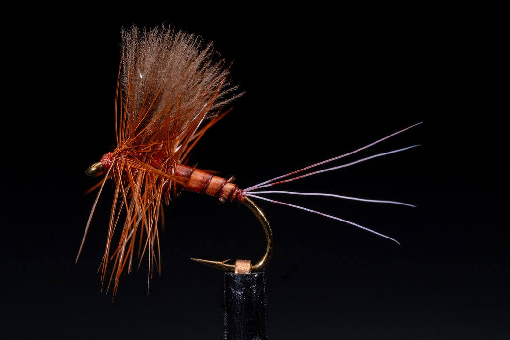 Manic CDC Thorax Dun Dark