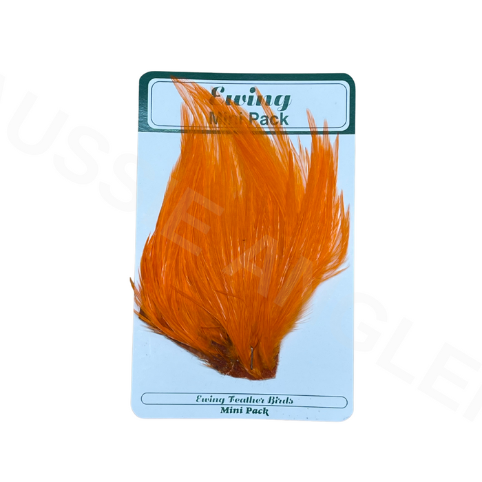 Ewing Mini Dry Fly Pack #10-12