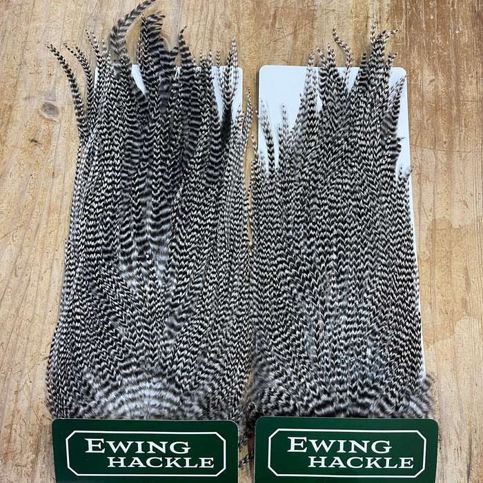Ewing Saddle Hackles