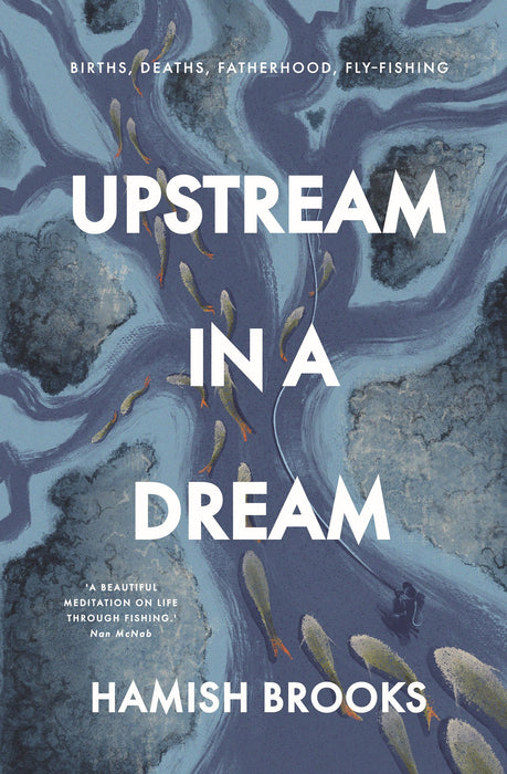 Upstream in a Dream - Hamish Brooks