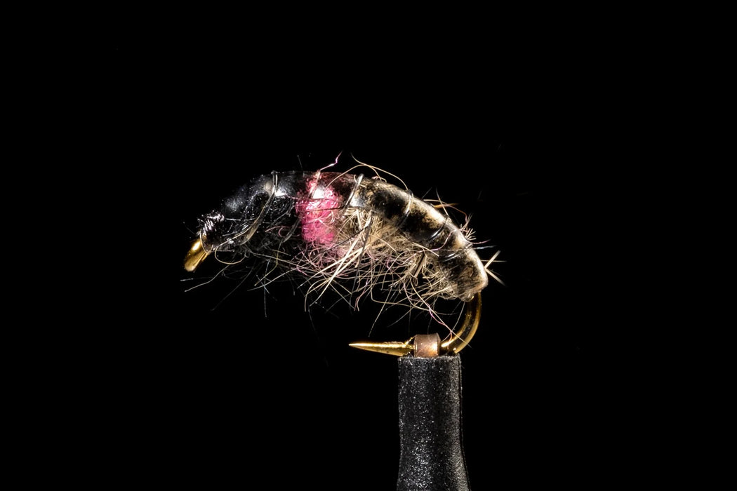 Manic Hot Spot Czech Nymph Caddis Tan/Pink