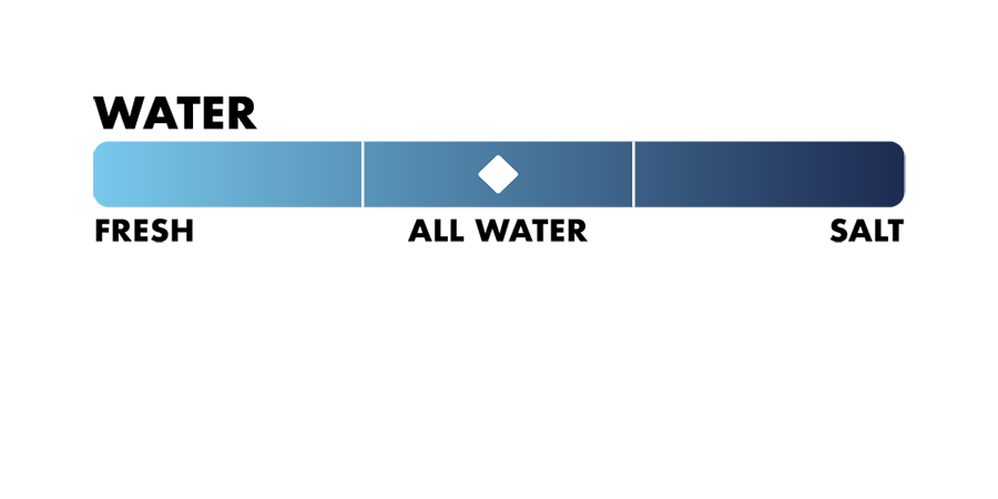 Lamson Speedster S Battleship