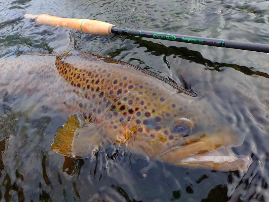 Vision Nymphmaniac Fly Rod