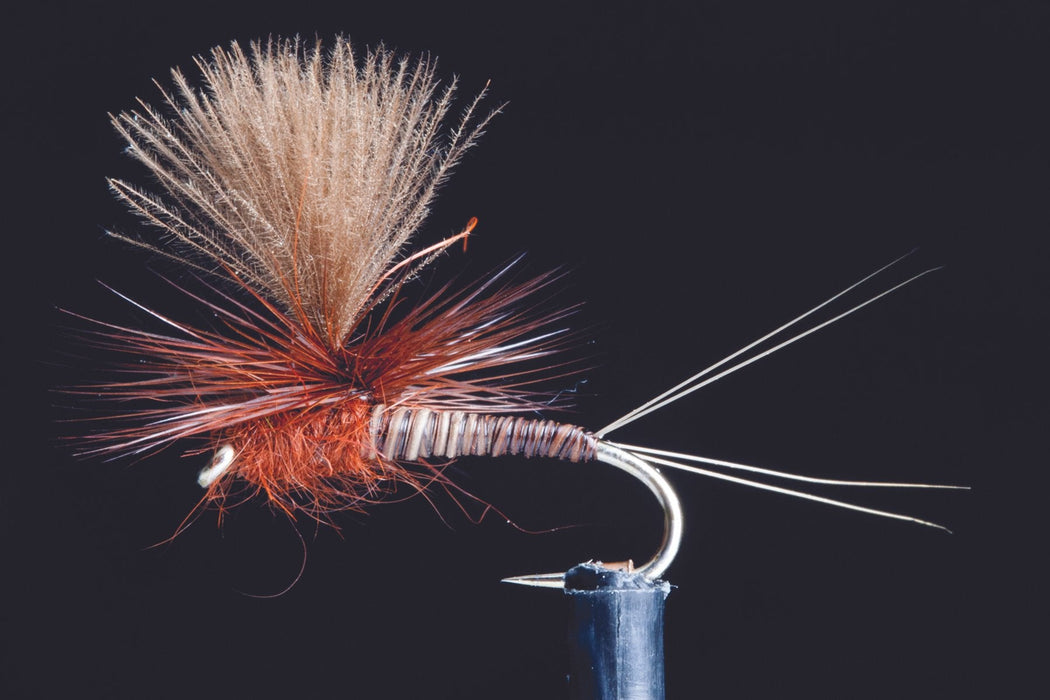 Manic Quill Spinner Brown #18