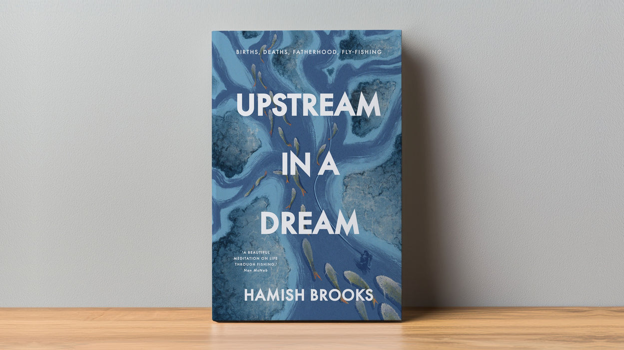 Upstream in a Dream - Hamish Brooks