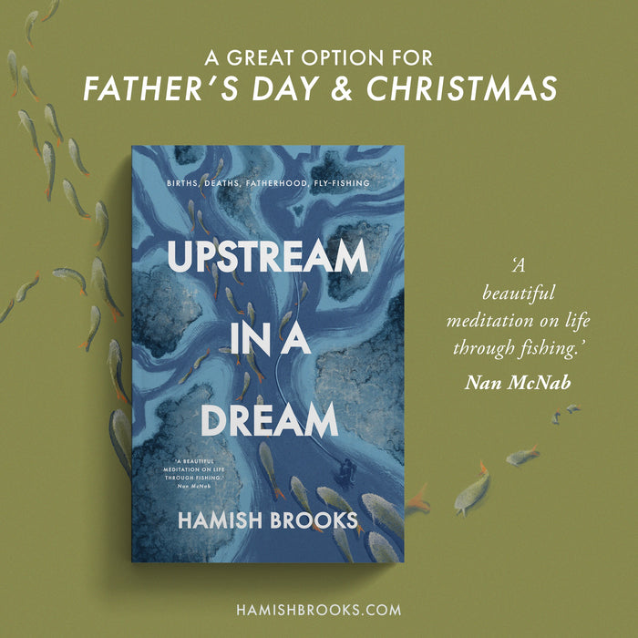 Upstream in a Dream - Hamish Brooks
