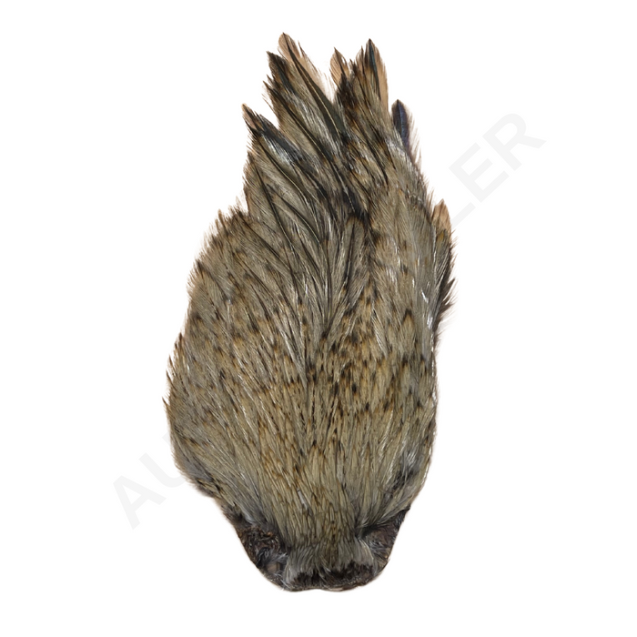 Wapsi Dry Fly Rooster Necks