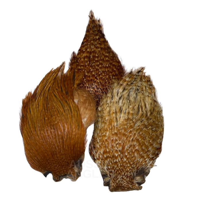 Wapsi Dry Fly Rooster Necks