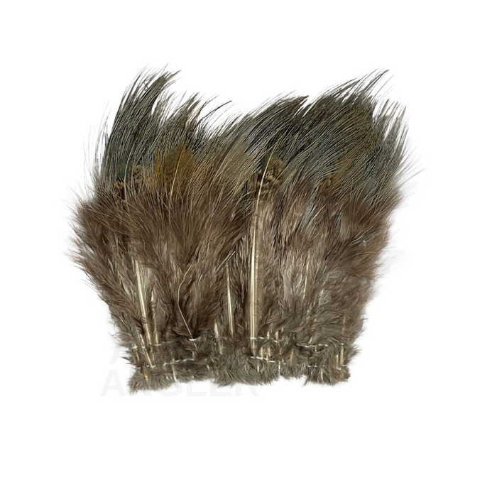 Wapsi Ringneck Pheasant Rump Hackle
