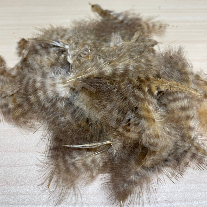 Wapsi Grizzly Matuka Soft Hackle