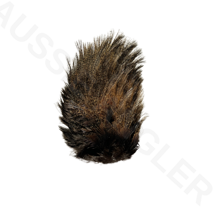 Whiting Farms Coq De Leon (CDL) Tailing Packs