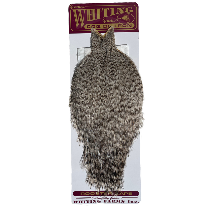 Whiting Farms Coq De Leon Cape