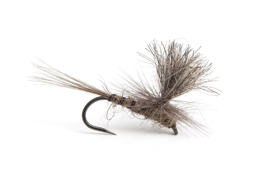 Christopher Bassano Parachute Possum Emerger