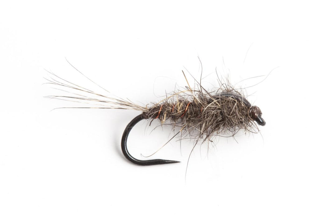 Christopher Bassano Possum