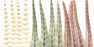 Wapsi Dry Fly Neck Hackle Mini Packs