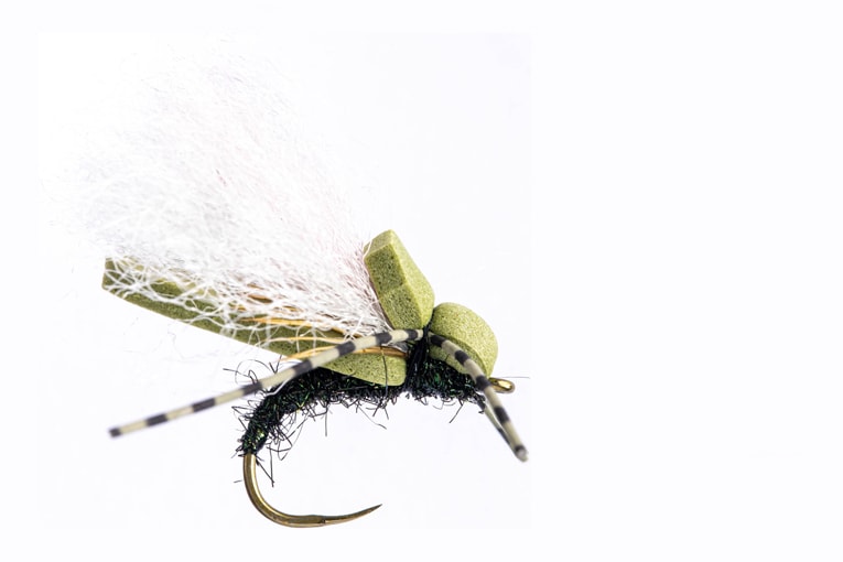 C3 Woomfah Olive