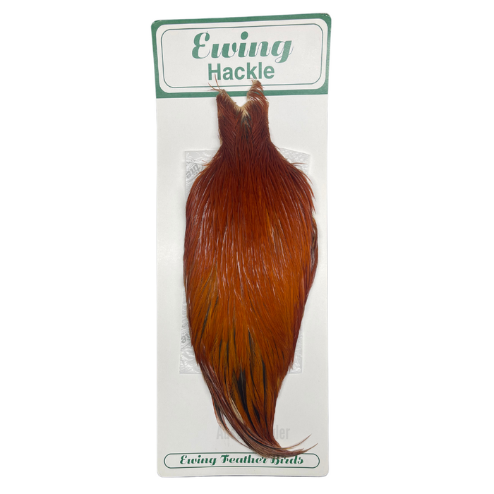 Ewing Premium Cock Cape