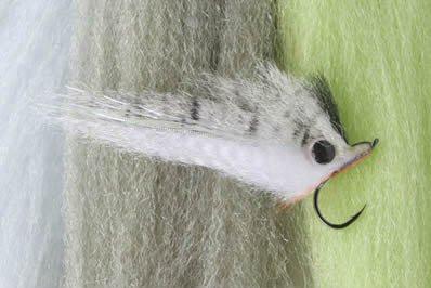 H20 Frizz Fibre