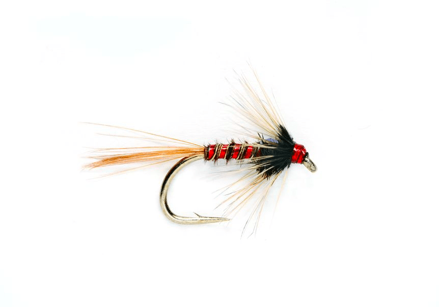 Fulling Mill Nemo Holographic Red #12
