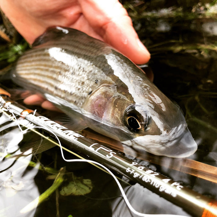 Guideline LPS 9'6" 2wt