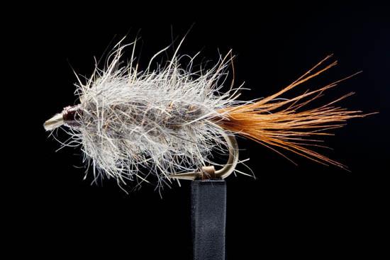 Manic Hare and Copper #12-16