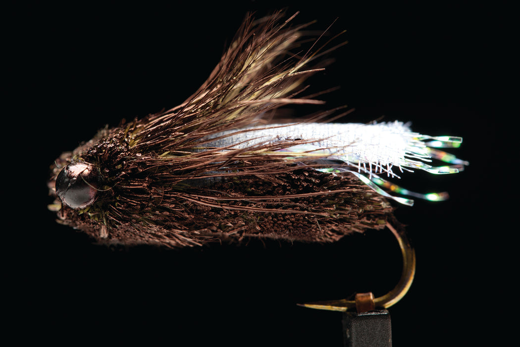 Classic Cicada Black #8