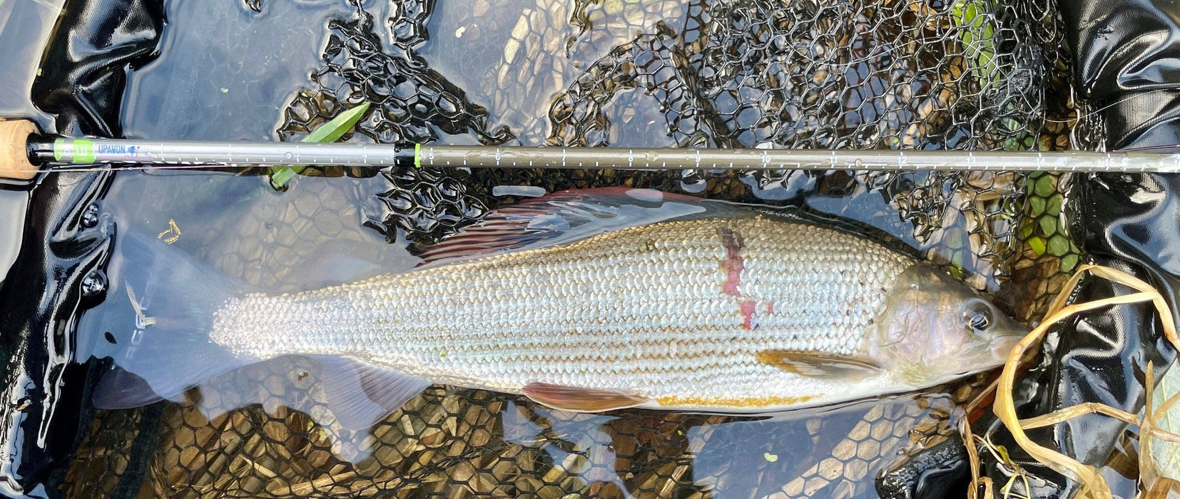 UPAVON Rod Ruler & Fish Measure