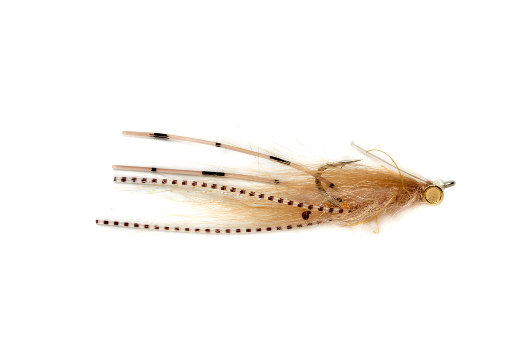 Fulling Mill Sydneys Shrimp Tan
