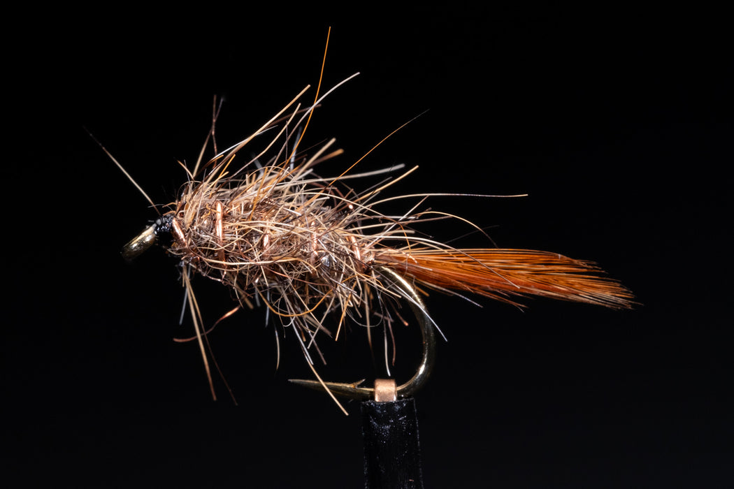 Manic Hare and Copper